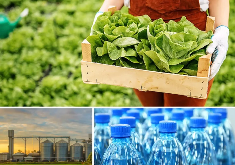 A collage of three images representing a global food and agriculture company: a farmer holding a crate of fresh lettuce heads, a grain processing facility at sunset, and rows of sealed plastic water bottles.